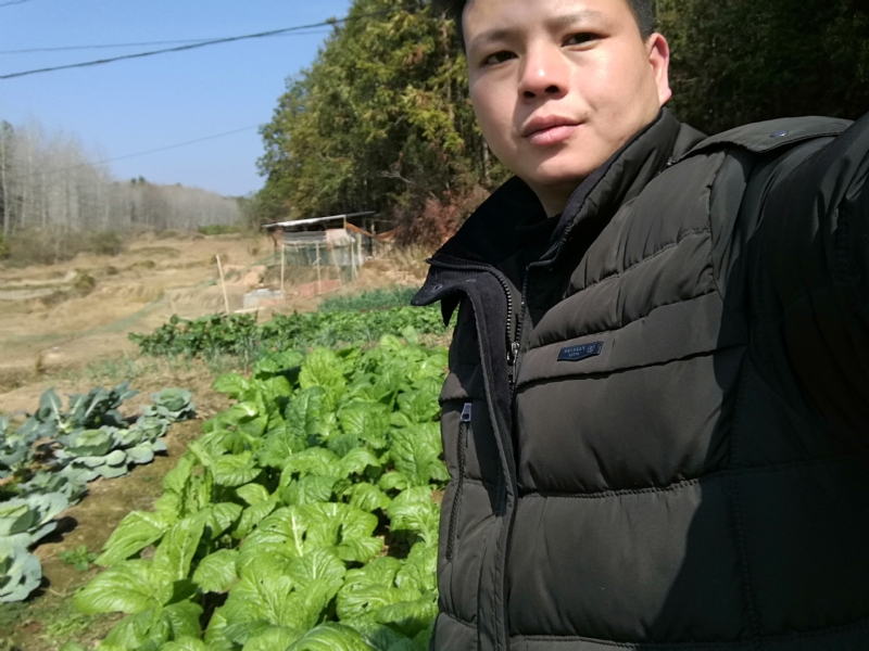 倔强的驴的第一张照片--宁化交友网