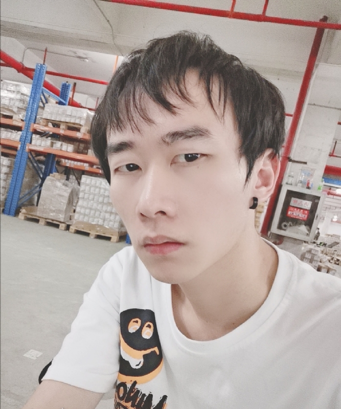 巷子里的猫的第一张照片--宁化交友网