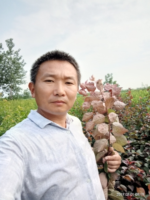 孩子爸的第一张照片--宁化交友网