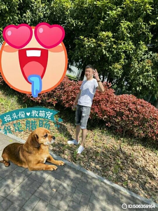 我若不坚强谁替我勇敢的第五张照片--宁化交友网